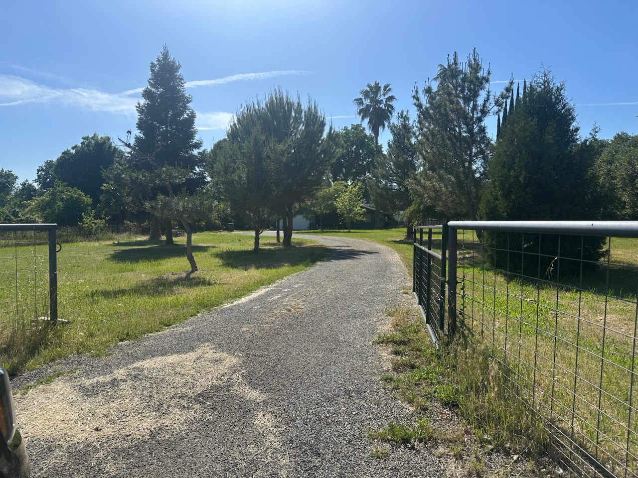 8285 Buena Vista Avenue